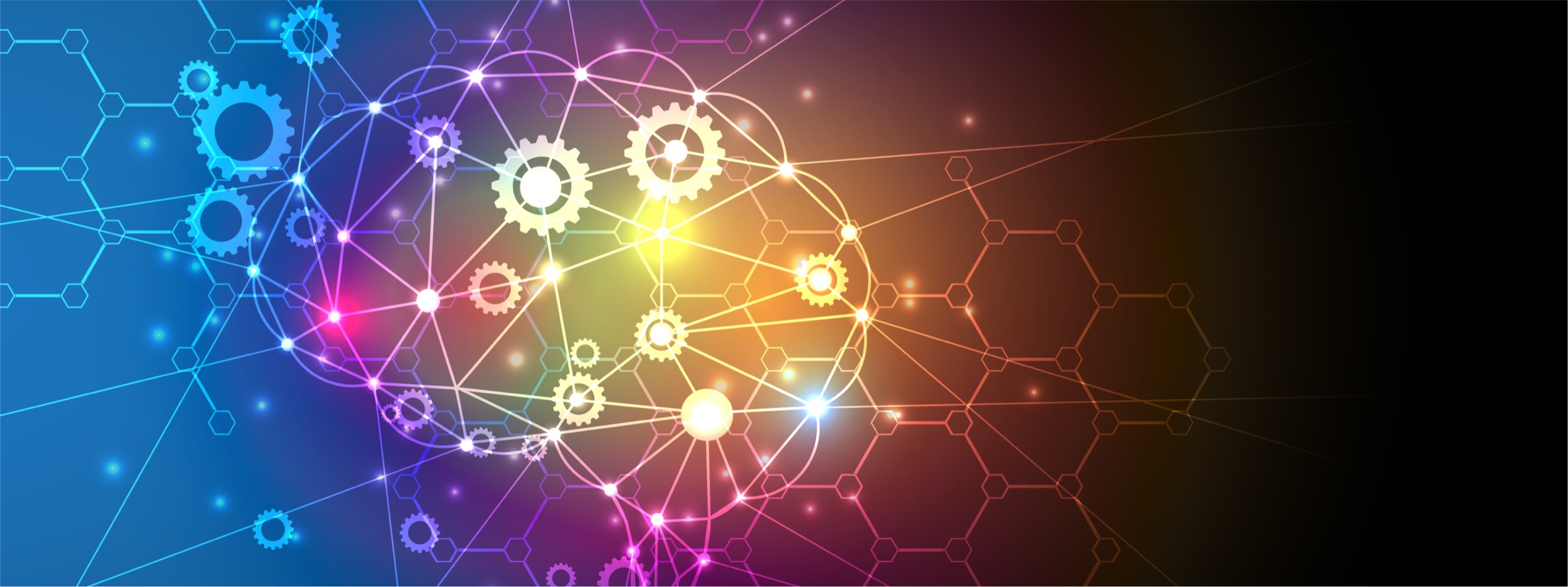 NeuroData programme